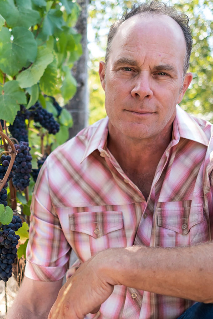 Stirling Fox - Mad Violets wine grower